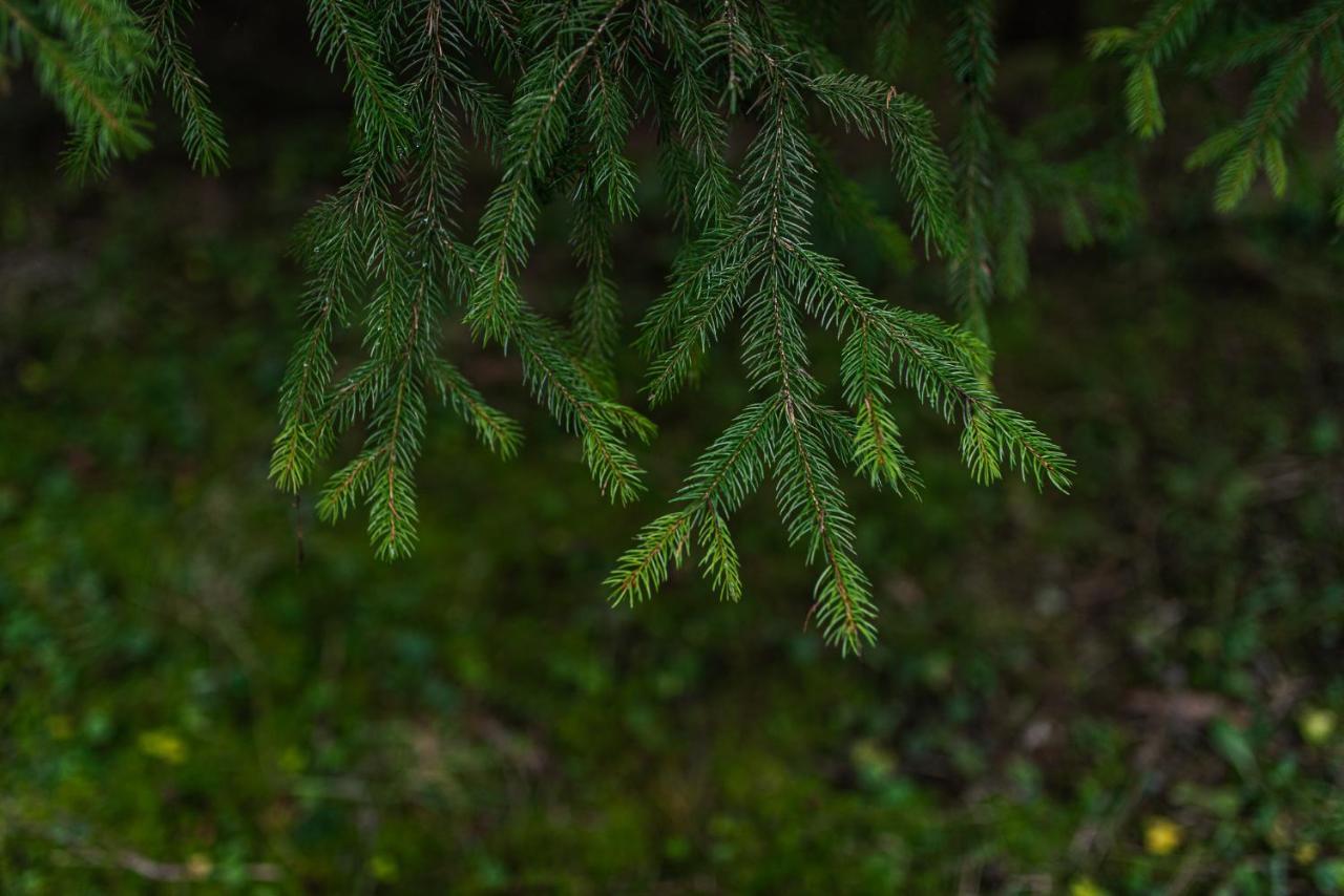 Fantastisch Im Naturpark Altmuehltal Greding Exterior foto